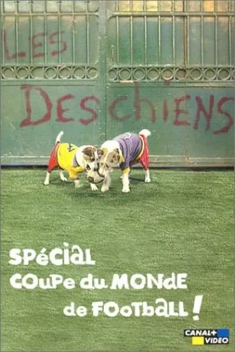 Póster de Les Deschiens - Spécial Coupe du Monde de football