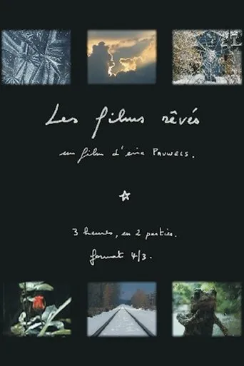 Póster de Les films rêvés