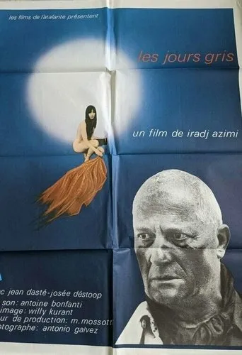 Póster de Les jours gris