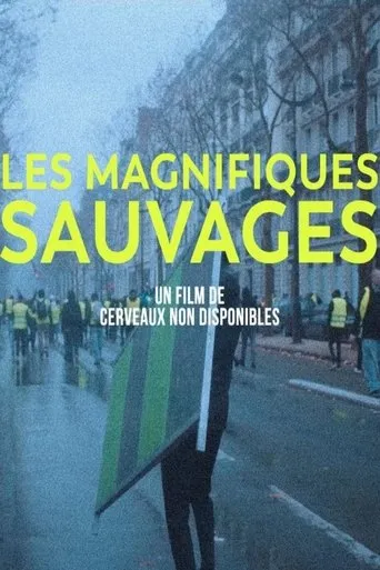 Póster de Les Magnifiques sauvages