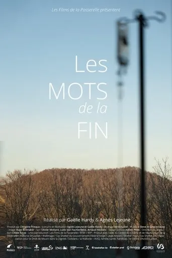 Póster de Les mots de la fin