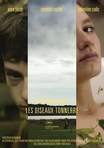 Póster de Les Oiseaux-tonnerre