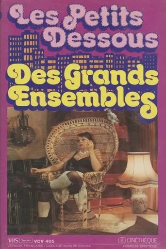 Póster de Les petits dessous des grands ensembles