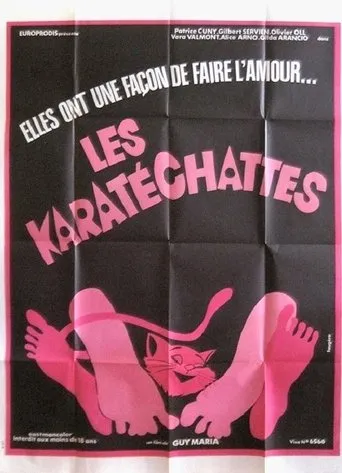 Póster de Les pornochattes