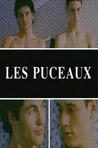 Póster de Les puceaux