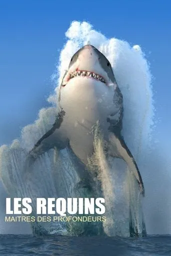 Póster de Les requins, maîtres des profondeurs