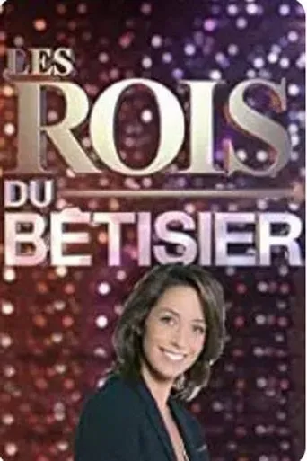 Póster de Les Rois du Bêtisier