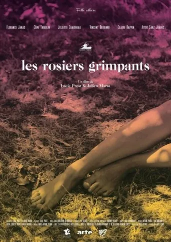Póster de Les rosiers grimpants