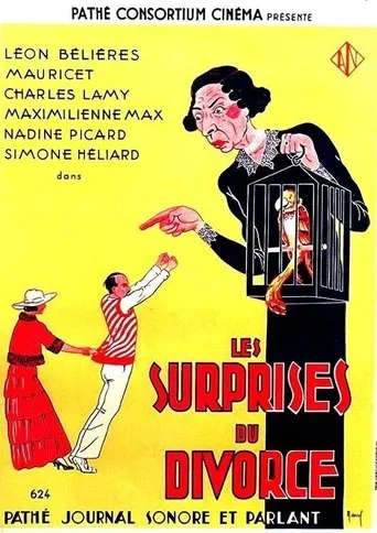 Póster de Les surprises du divorce