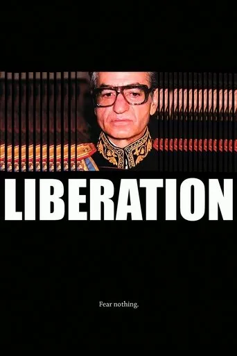 Póster de Liberation