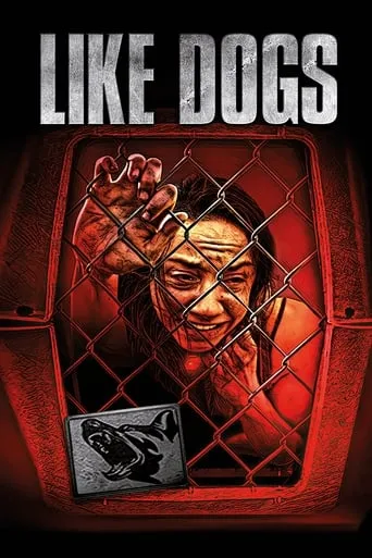 Póster de Like Dogs
