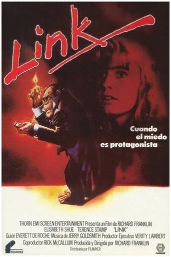 Póster de Link
