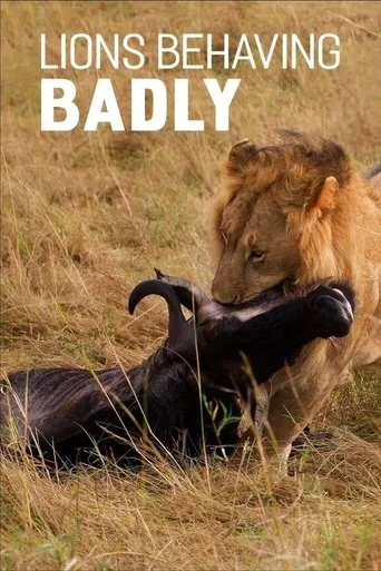 Póster de Lions Behaving Badly
