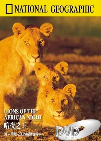 Póster de Lions of the African Night