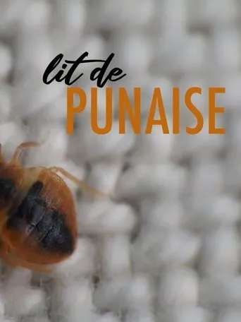 Póster de Lit de punaise