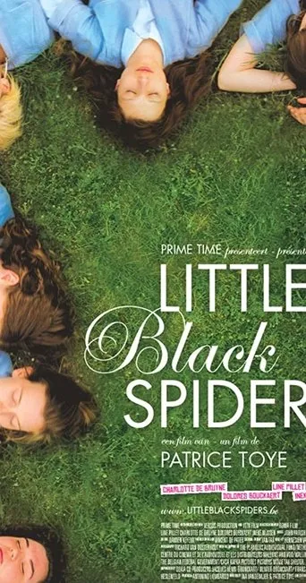 Póster de Little Black Spiders