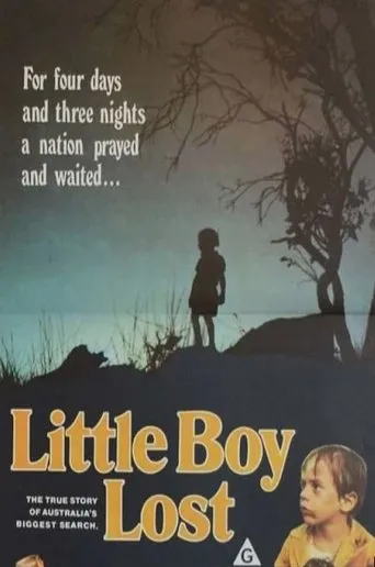 Póster de Little Boy Lost