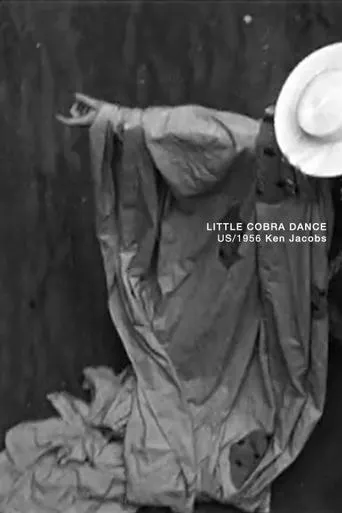 Póster de Little Cobra Dance