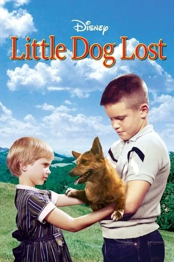 Póster de Little Dog Lost