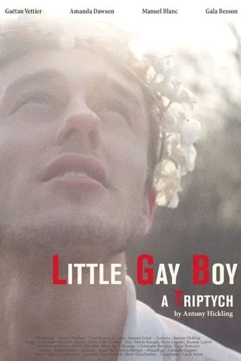 Póster de Little Gay Boy