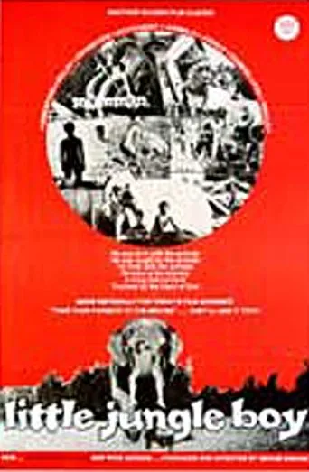 Póster de Little Jungle Boy