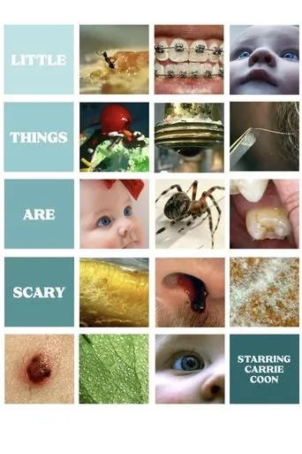 Póster de Little Things Are Scary