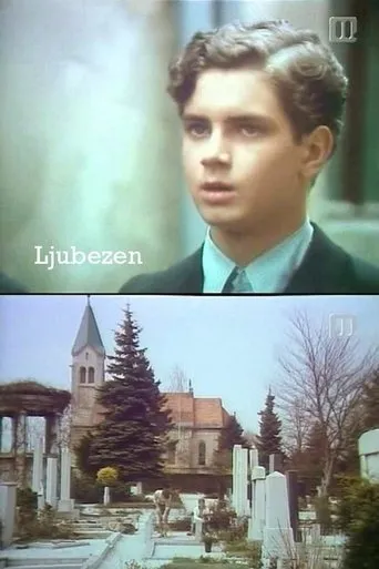 Póster de Ljubezen