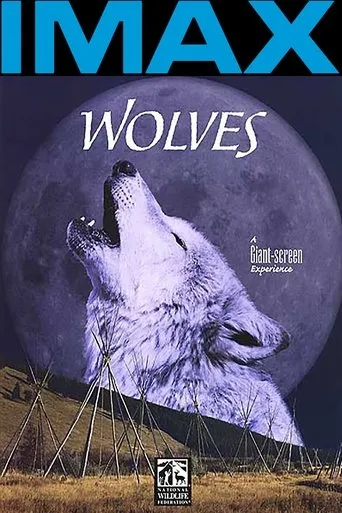 Póster de Lobos (1999) con Robbie Robertson como Narrator (voice)