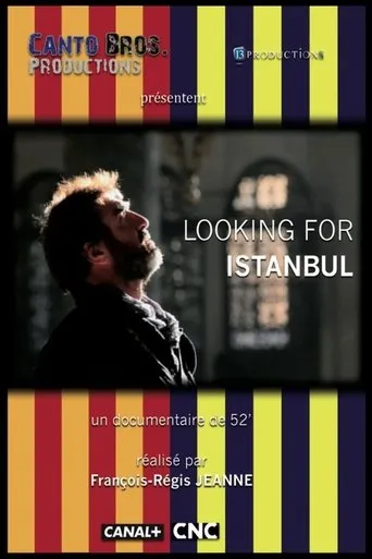 Póster de Looking for Istanbul