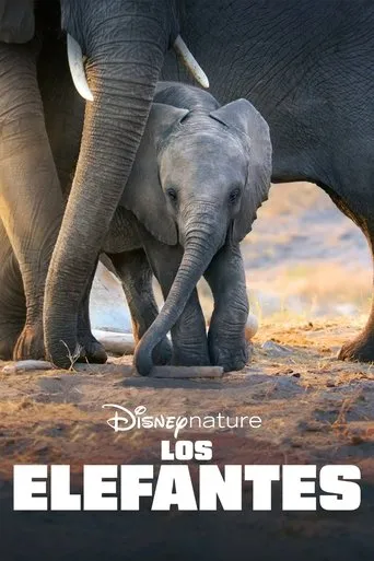 Póster de Los elefantes