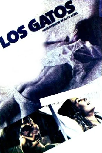 Póster de Los gatos (Prostitución de alto nivel)