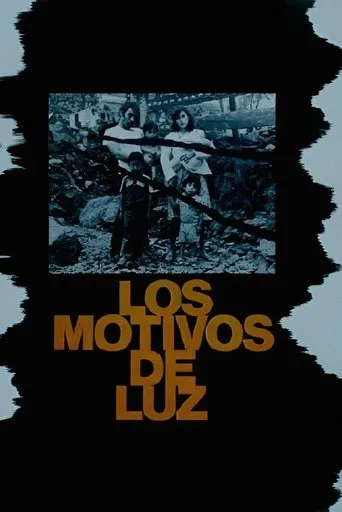 Póster de Los motivos de Luz