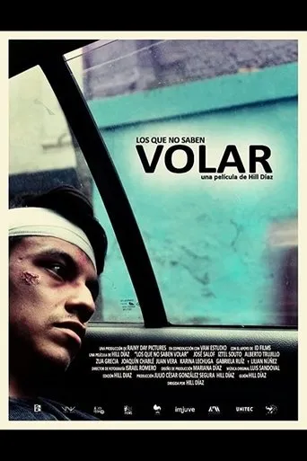 Póster de Los que no saben volar