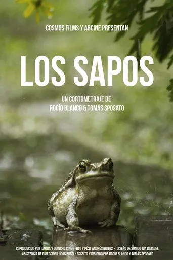 Póster de Los sapos