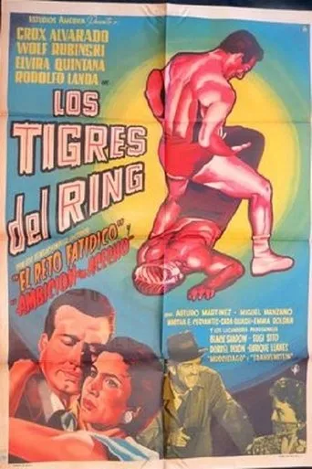 Póster de Los tigres del ring