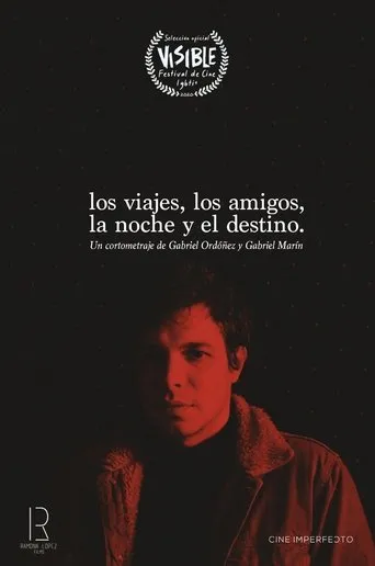 Póster de Los viajes, los amigos, la noche y el destino