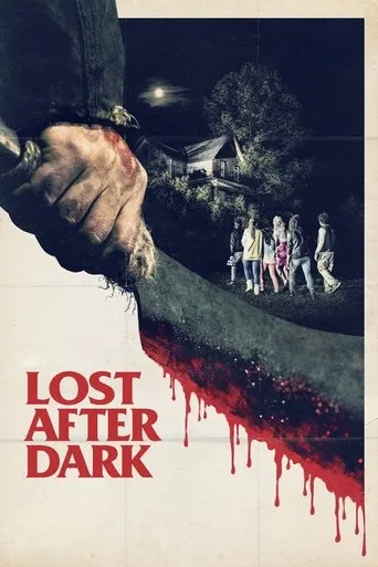 Póster de Lost after dark
