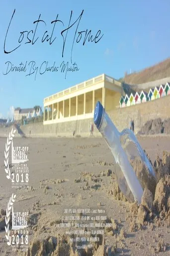 Póster de Lost at Home