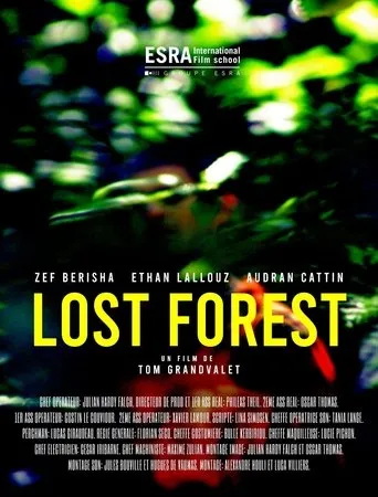 Póster de Lost Forest