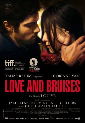 Póster de Love and Bruises