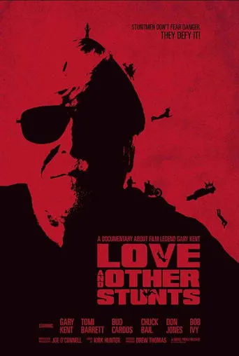 Póster de Love and Other Stunts