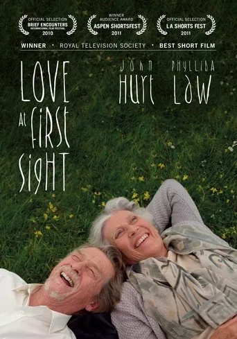 Póster de Love at First Sight