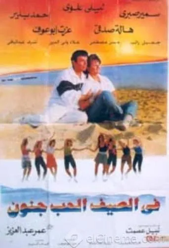 Póster de Love Is Crazy in the Summer