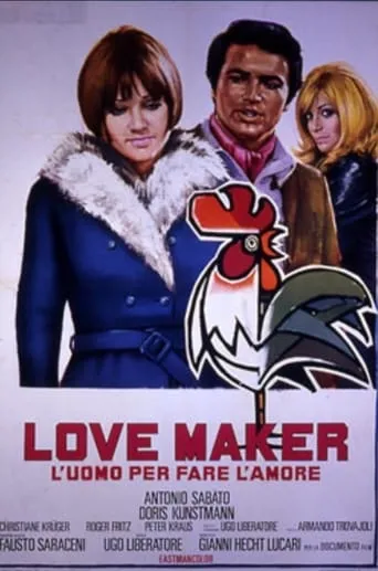 Póster de Lovemaker