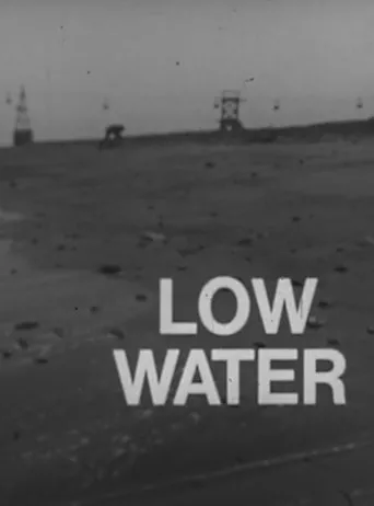 Póster de Low Water