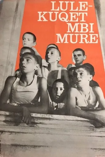 Póster de Lulëkuqet mbi mure