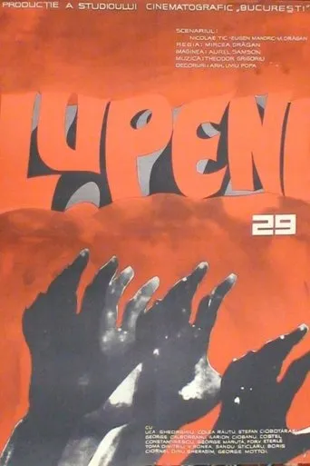 Póster de Lupeni 29