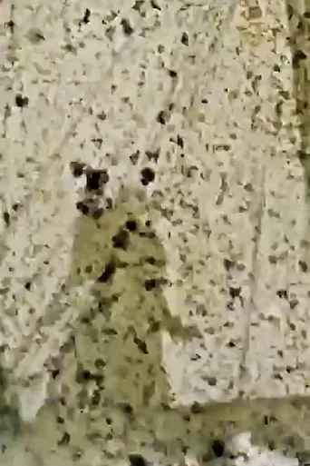 Póster de Luzern Viper