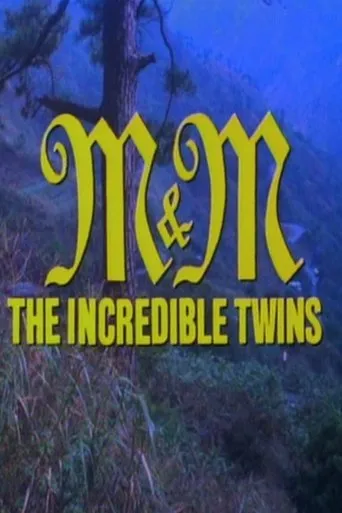 Póster de M & M: The Incredible Twins