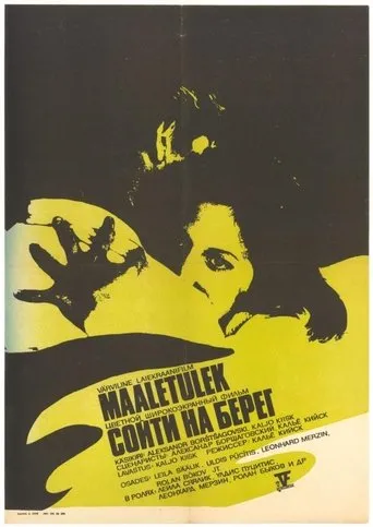 Póster de Maaletulek